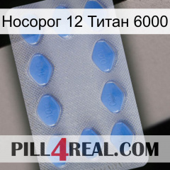 Носорог 12 Титан 6000 21